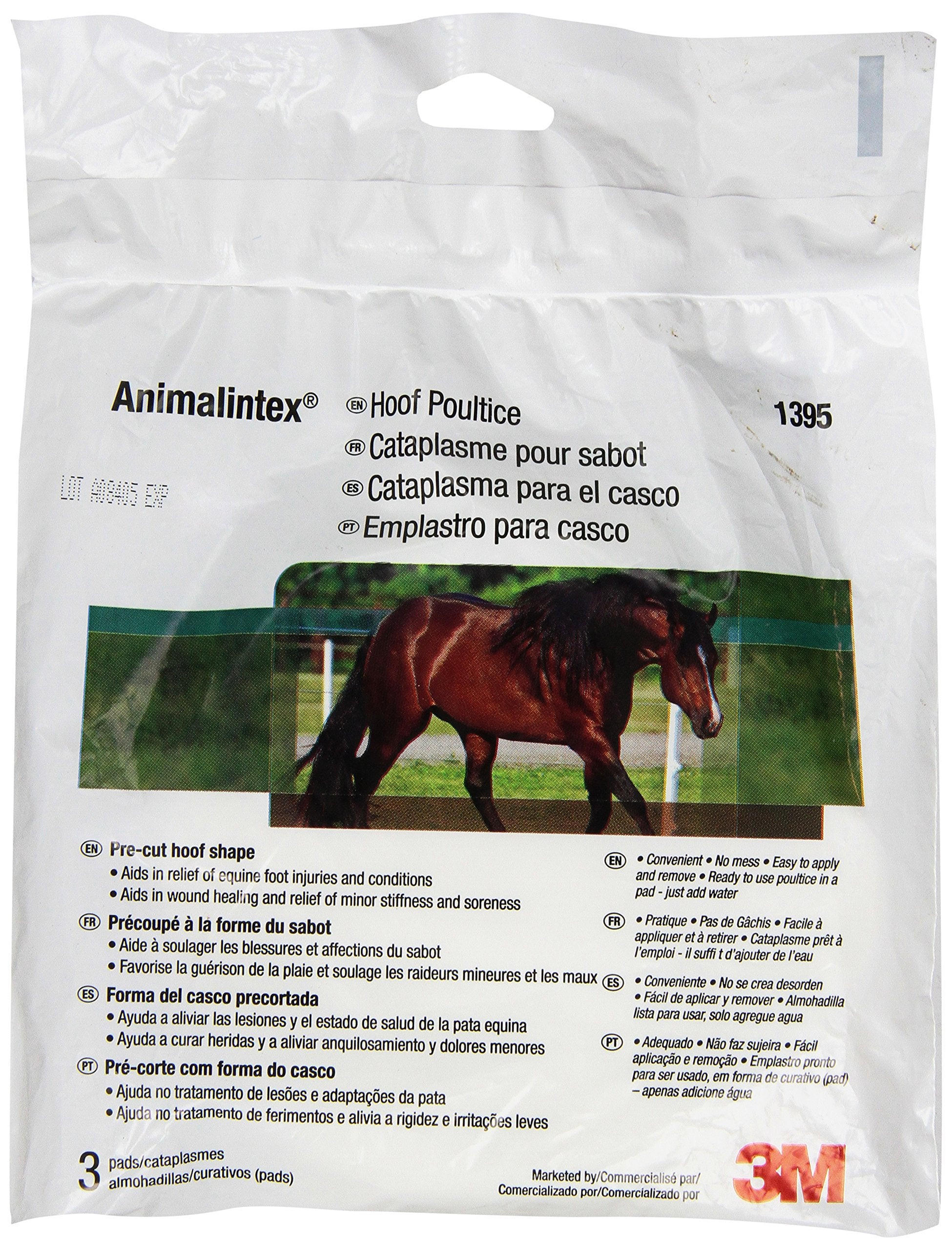 3M Animalintex: almohadillas para cascos para cuidado suave y preventivo