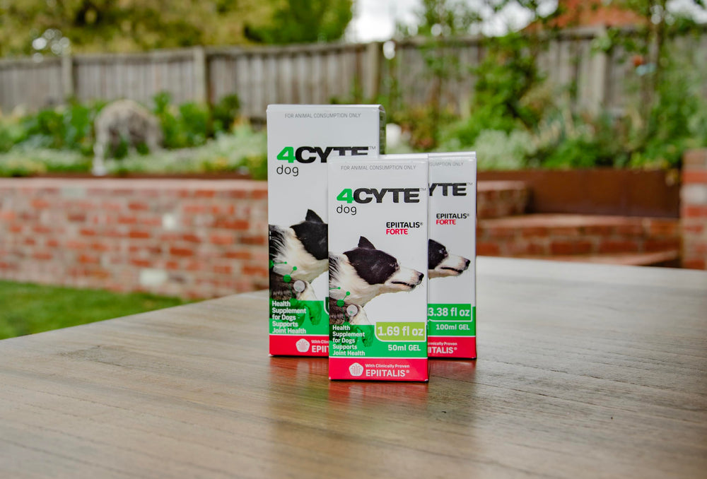 4CYTE Epiitalis Forte: gel de textura suave