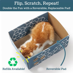 5609PETS rasguño de doble cara, más uso para gatos activos.