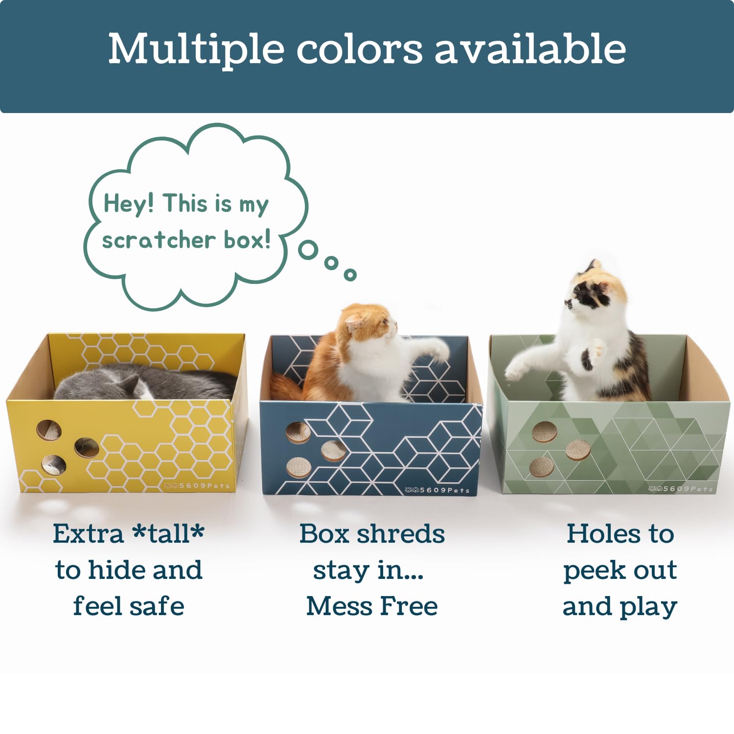 5609PETS espacio de descanso y juego: ideal para gatos activos y curiosos.