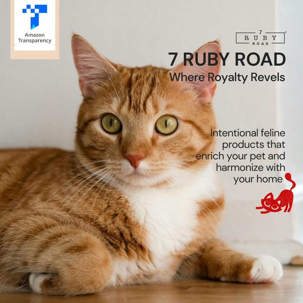 7 Ruby Road: juego de 2 cuencos fáciles de limpiar para sesiones de comida.