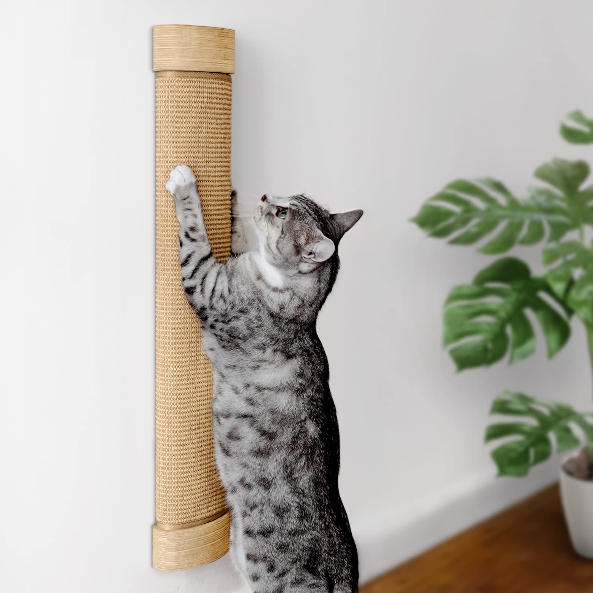 Rascador de pared 7 Ruby Road para gatos grandes con sisal resistente.