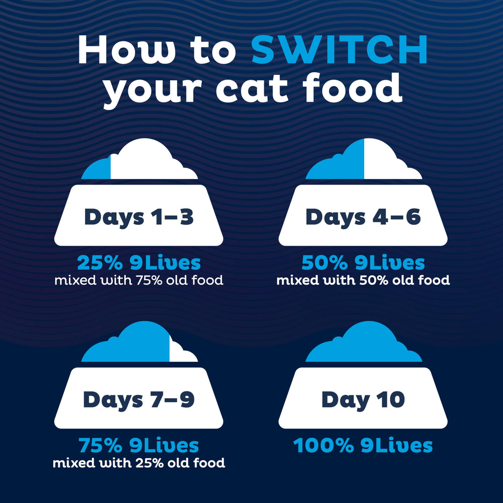 9Lives Esenciales Diarios: gato activo con músculos fuertes por proteína de calidad