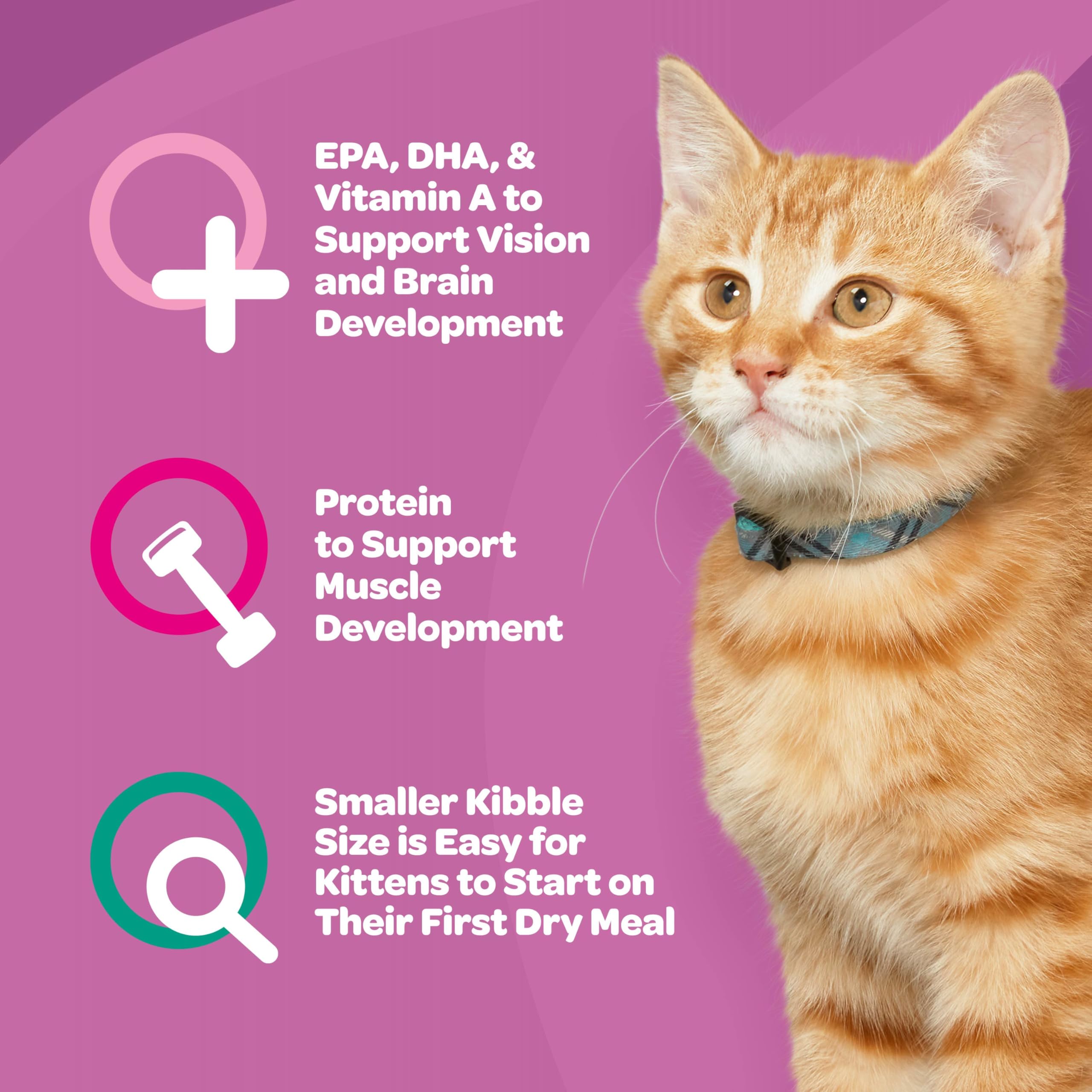 Tamaño de croqueta reducido facilita la primera alimentación seca de 9Lives Kitten Essentials.
