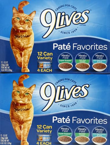 Gatito comiendo 9Lives Paté Favorites con expresión satisfecha