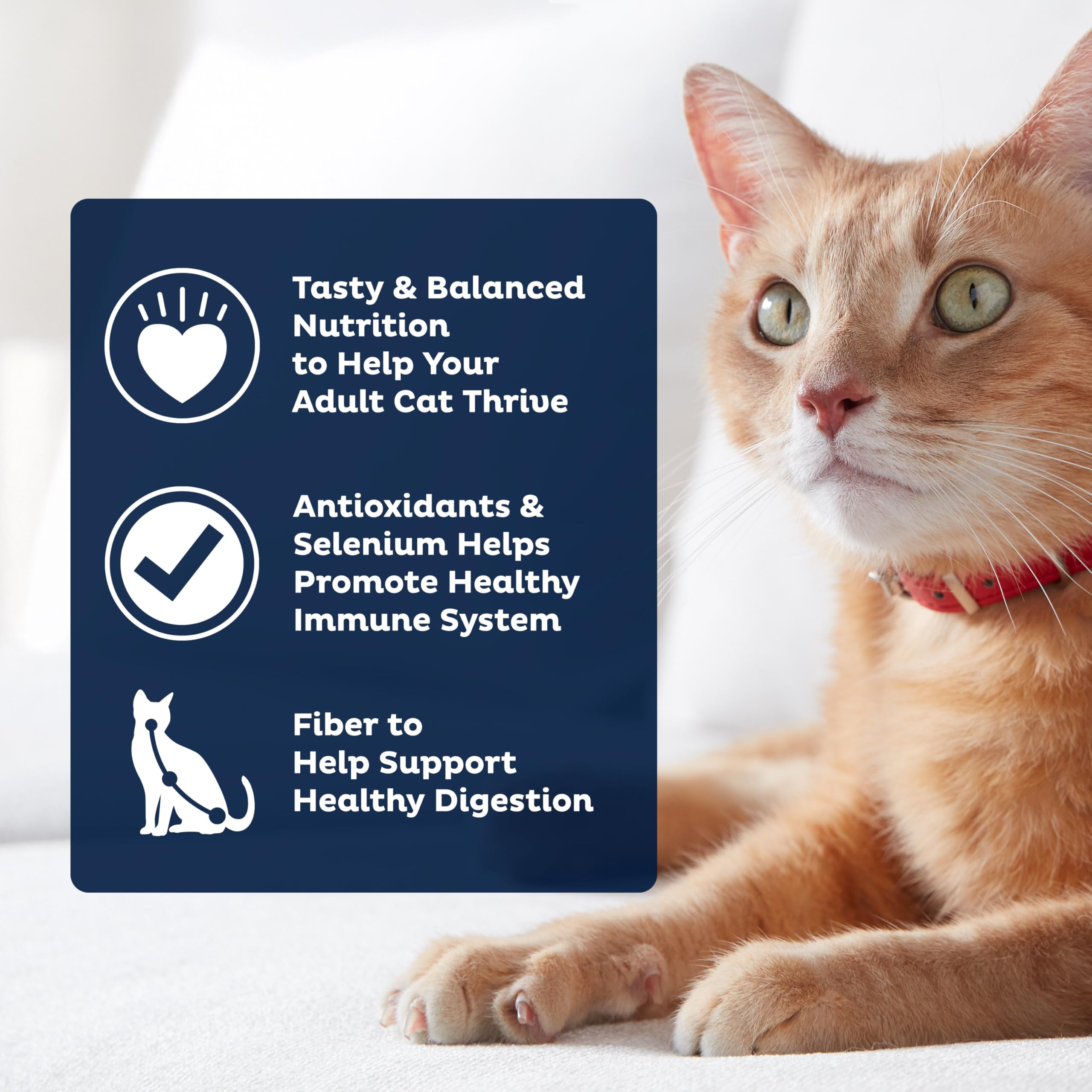 9Lives Plus fibra digestiva para una digestión saludable en gatos.