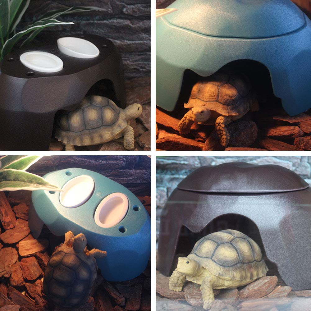 OMEM Reptiles House bandeja ceramica: limpieza sencilla y cómoda para el día a día.
