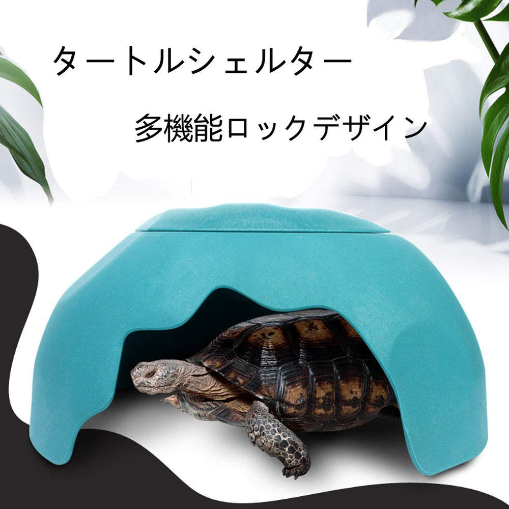 OMEM Reptiles House ventilacion superior: flujo de aire eficiente para el terrario.