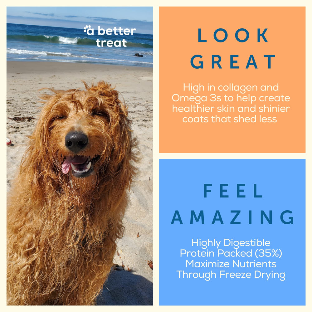 A Better Treat croquetas de alta proteína para perros activos