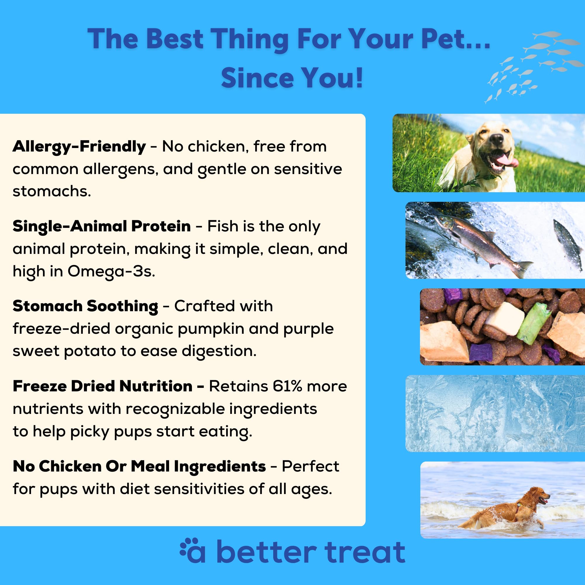 A Better Treat trozos de salmón secos, fuente de Omega-3 para pelaje