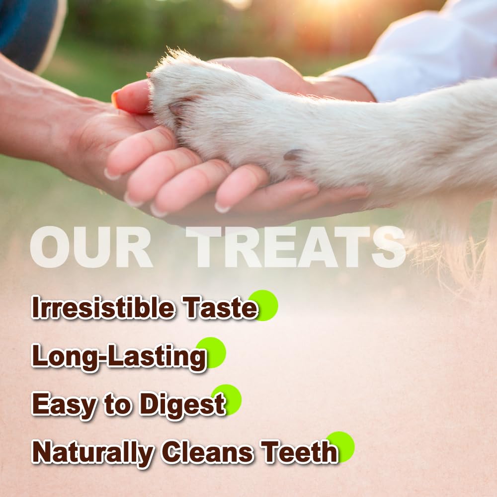 A Freschi srl sin cuero crudo para perros: opción limpia.
