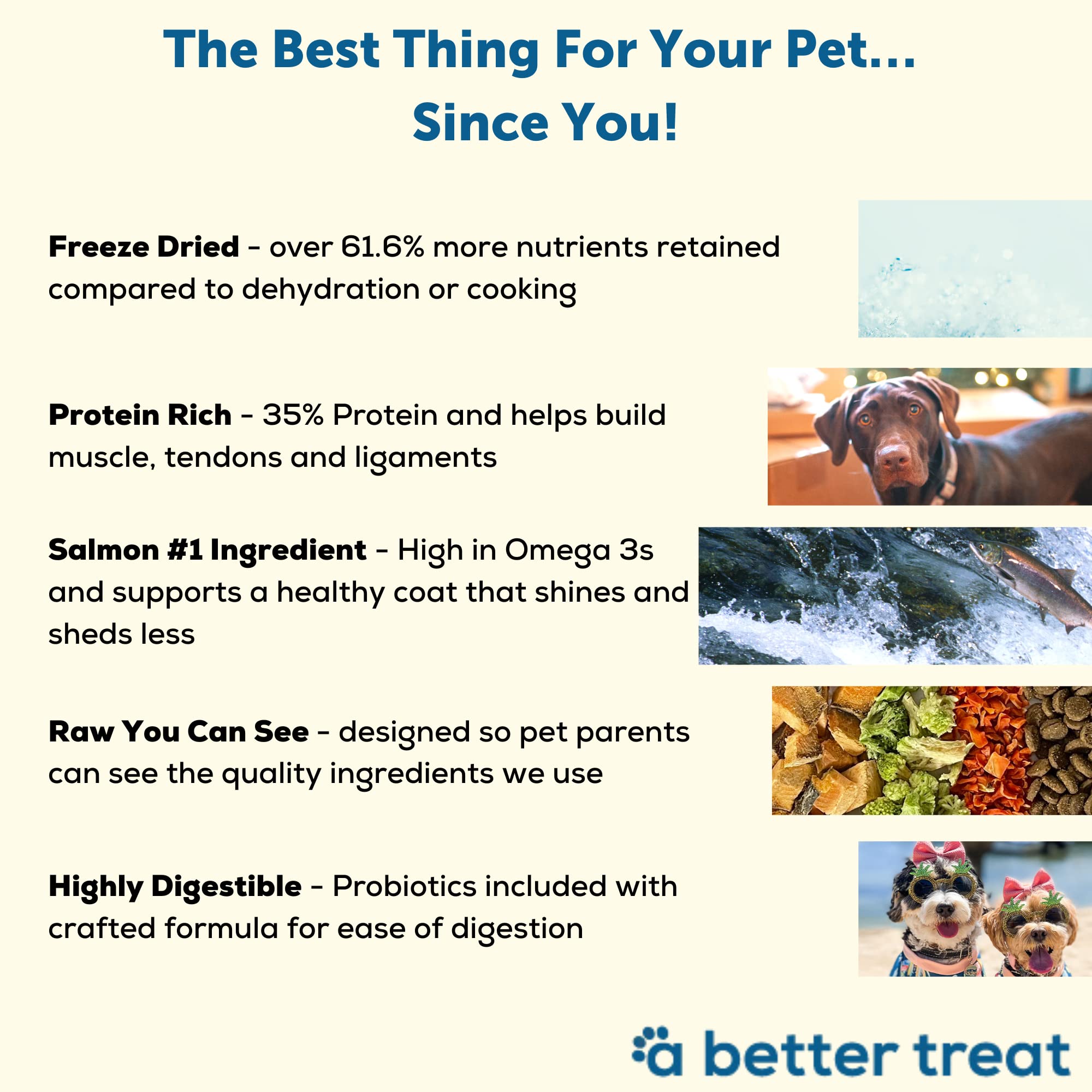 A Better Treat comida con ingredientes simples, brócoli y zanahoria para perros.