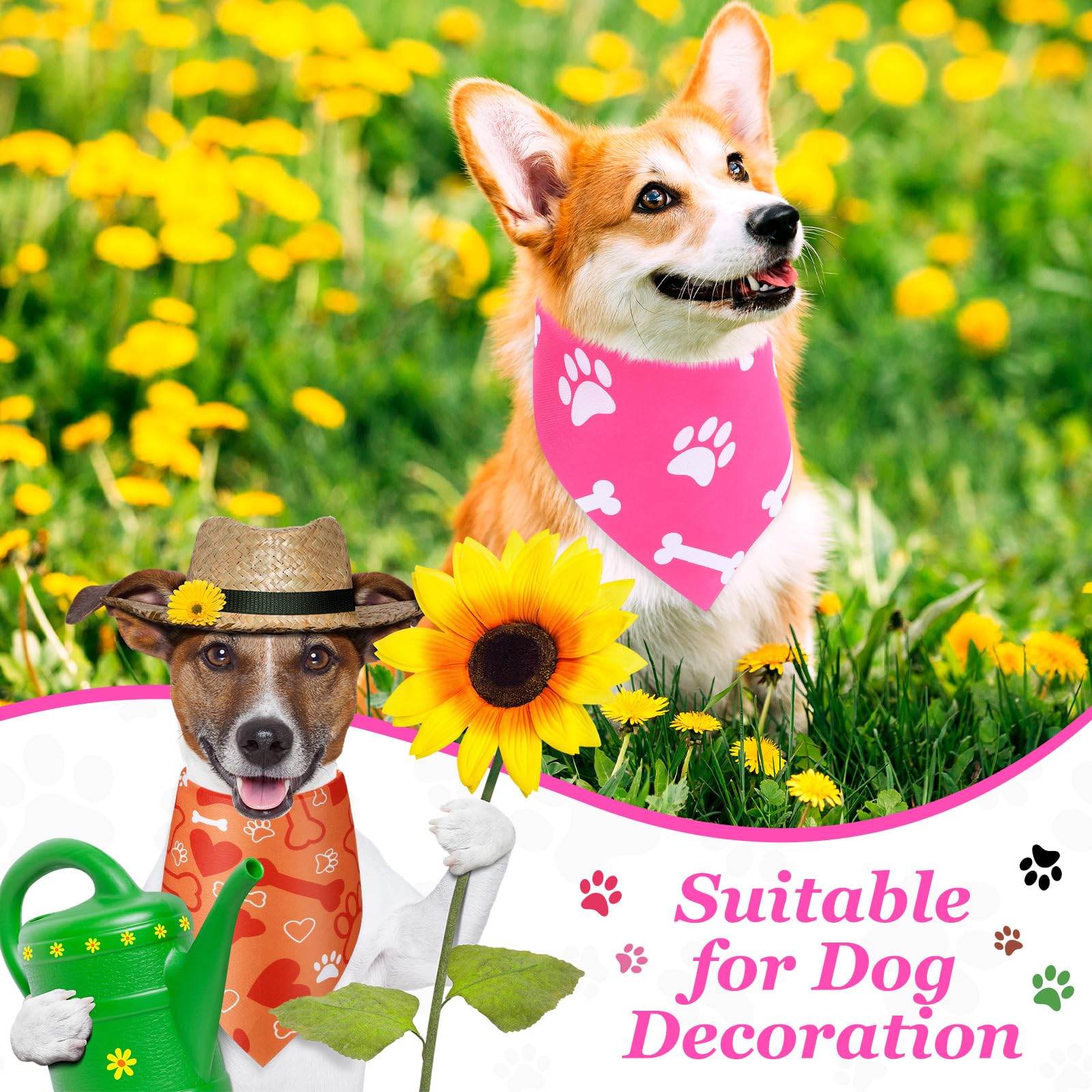 Abbylike bandanas con huesos, perfecto para fiestas temáticas y juego