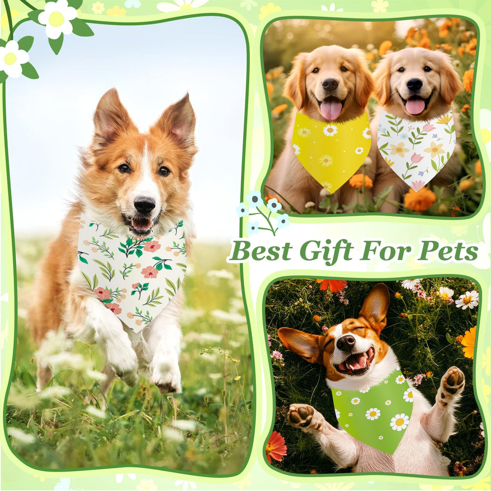Bandanas Abbylike para perro en primavera, flores coloridas para un look vibrante