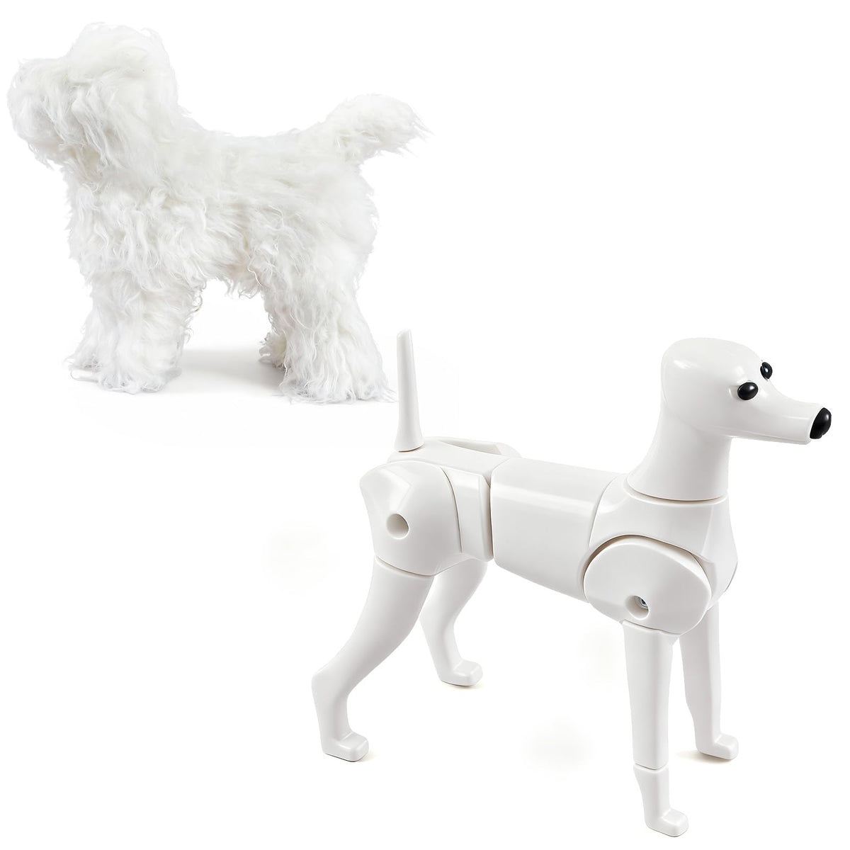 Abbylike modelo de perro poodle juguete para práctica de grooming profesional