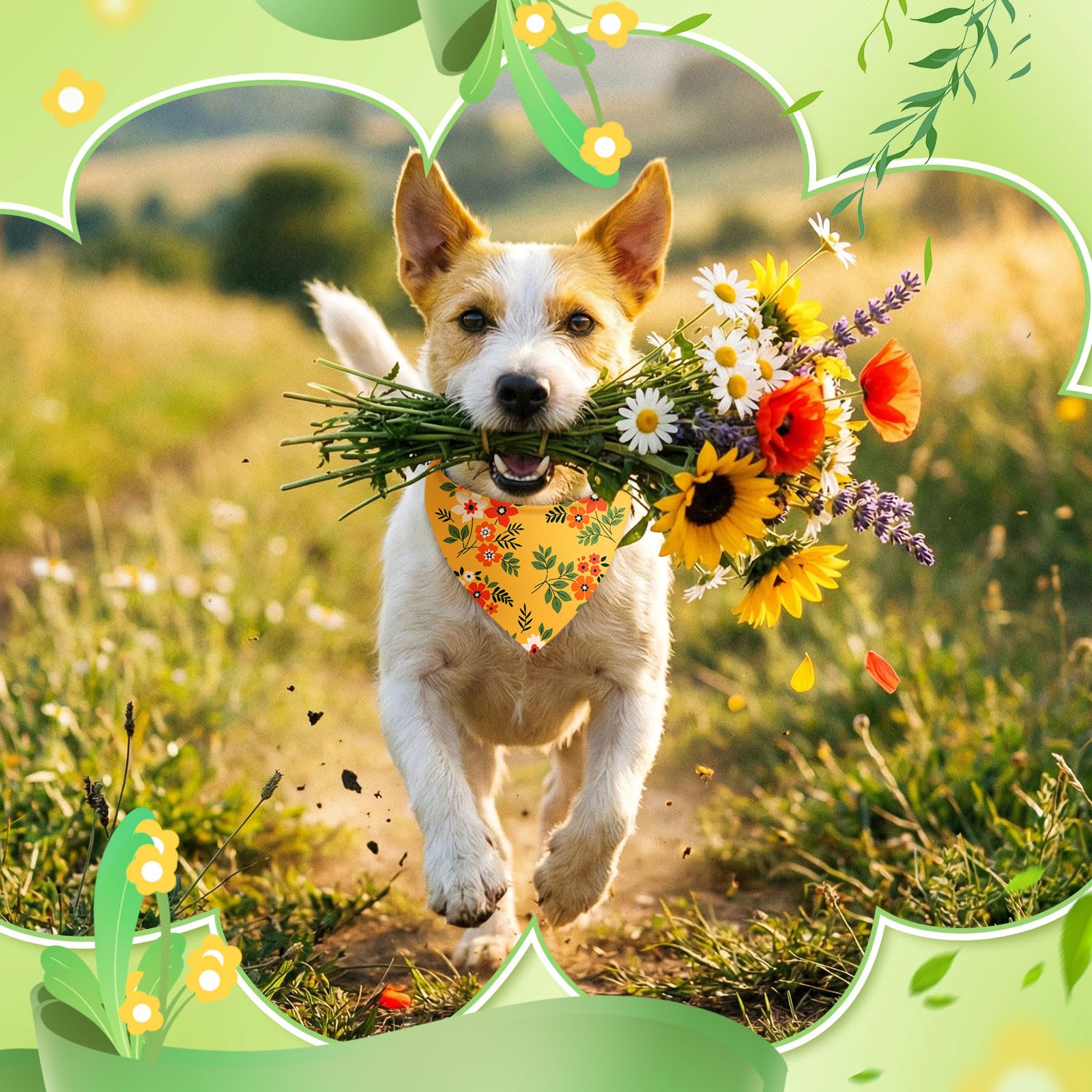 Abbylike bandana para looks primaverales y fiestas de mascotas.
