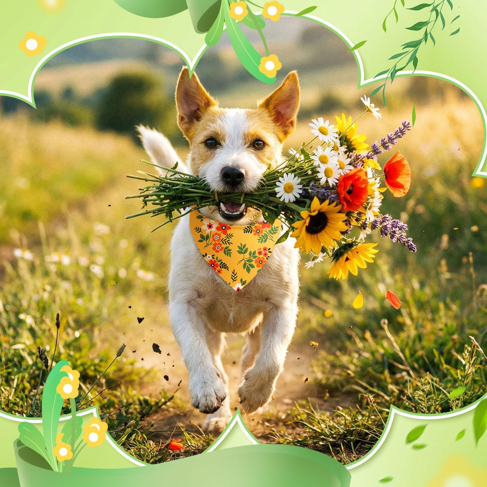 Abbylike bandana para looks primaverales y fiestas de mascotas.