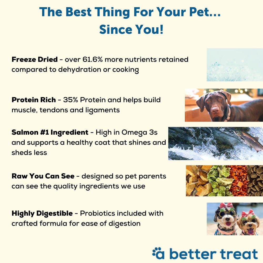 A Better Dog Food: bolsa con comida de alta proteína para músculos fuertes