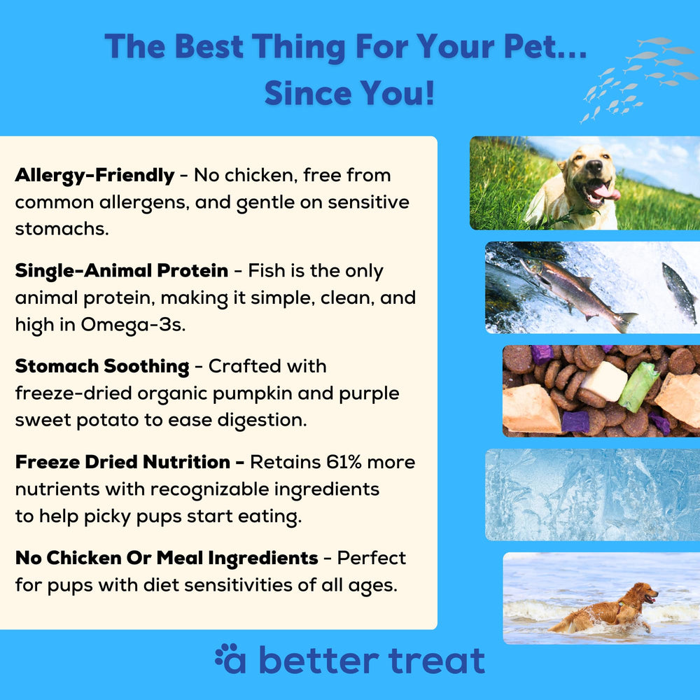 A Better Treat salmón liofilizado aporta proteína principal y aroma