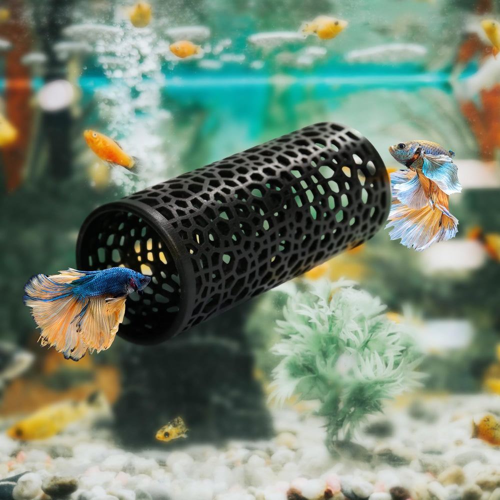 Abizoo Betta Tunel negro: regalo perfecto para aficionados a acuarios.