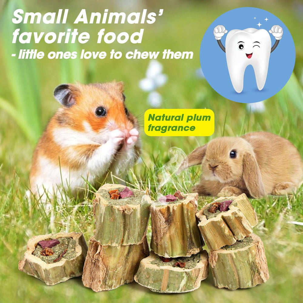 Abizoo conjunto de juguetes masticables para conejos y roedores.