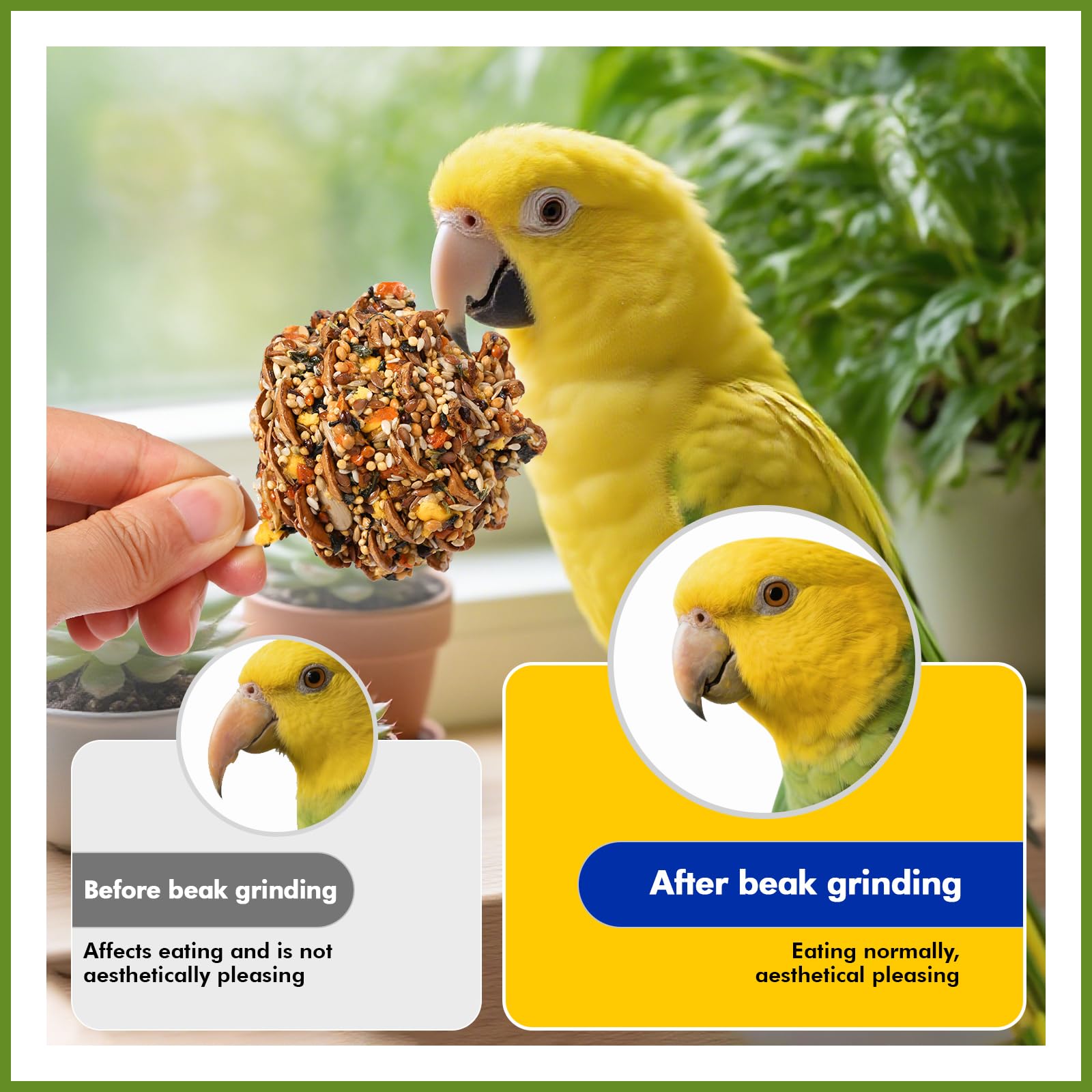 Abizoo ingredientes selectos para enriquecimiento, crujiente y apoyo digestivo natural.