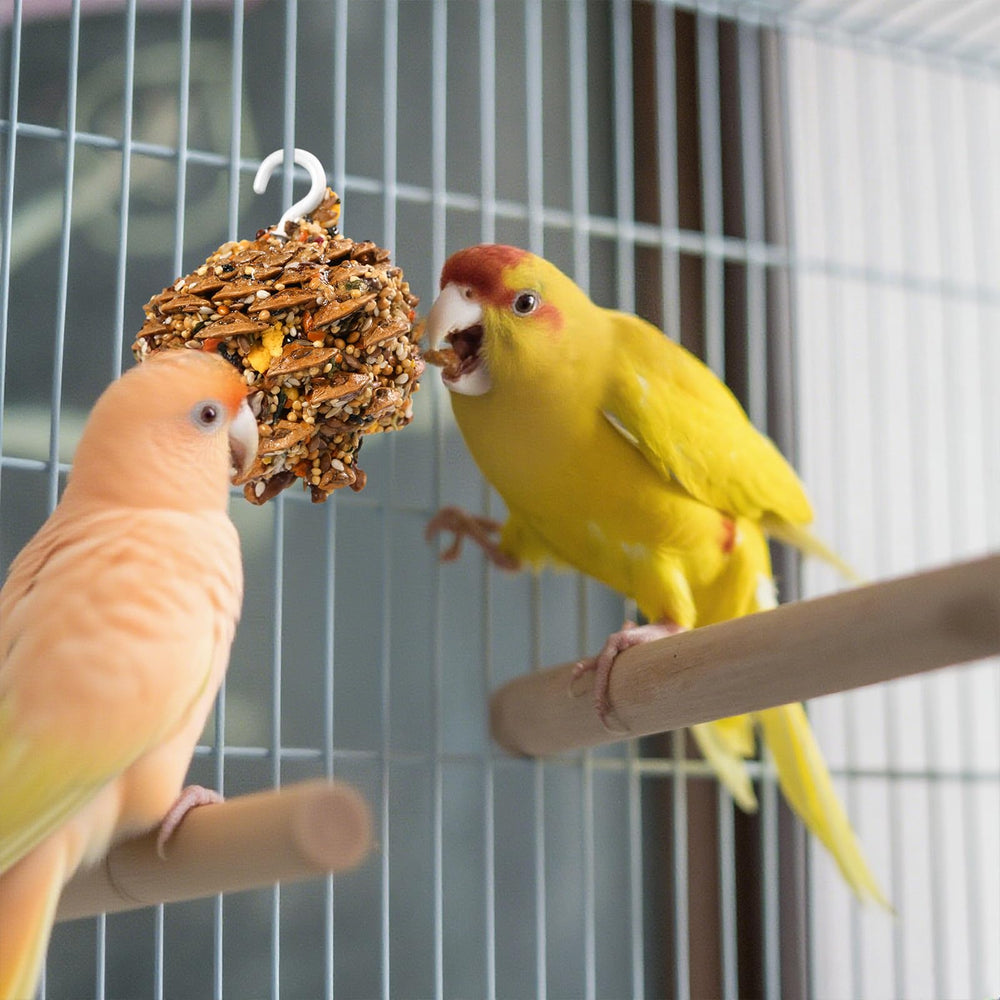 Abizoo premios para entrenamiento de aves grandes y pequeñas, reforzadores positivos.