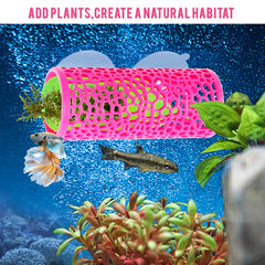 Abizoo tunel rosa decoración acuario aporta color y confort.