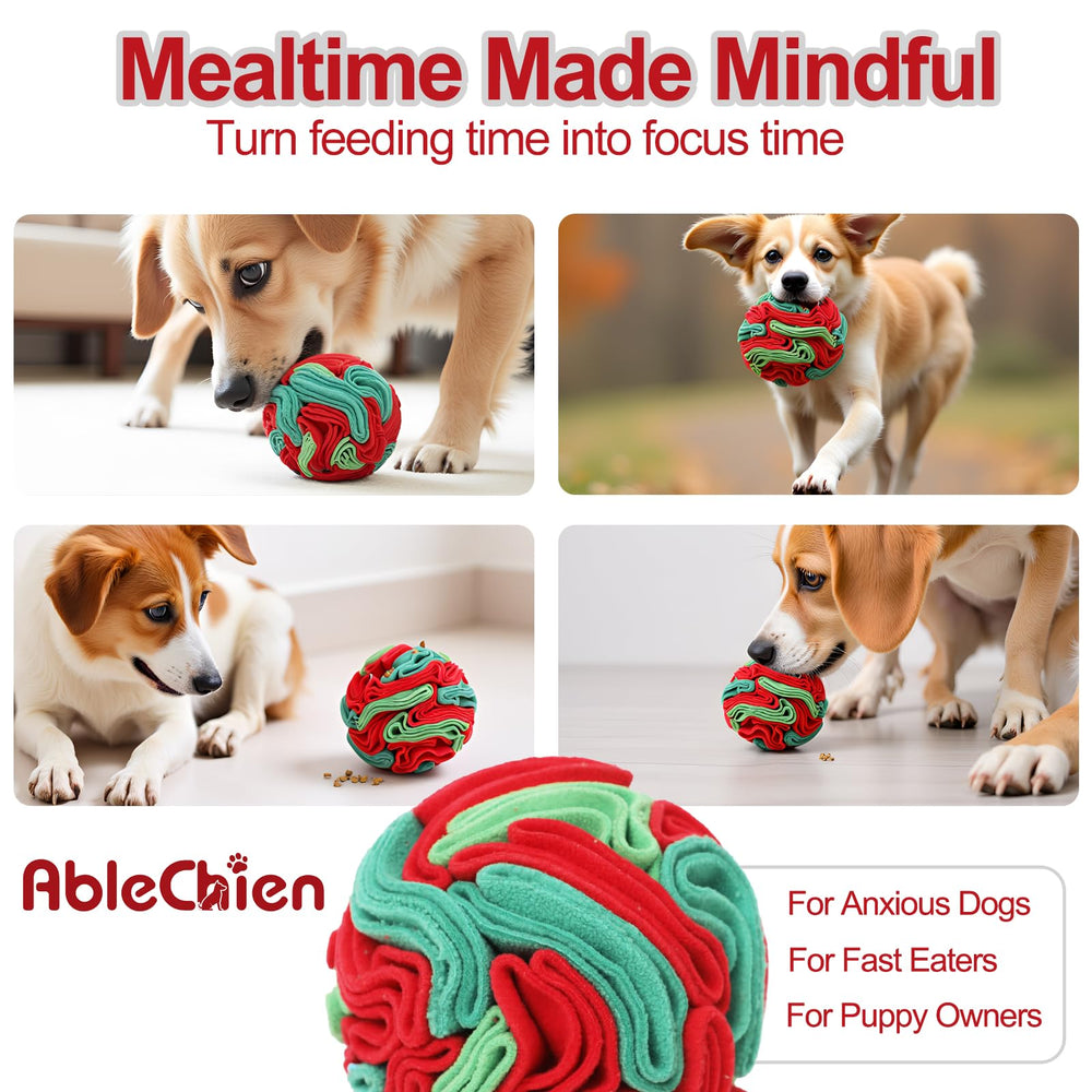 Ablechien bola de olfato para perros, seguridad y juego supervisado