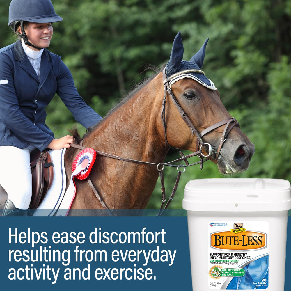 Absorbine Bute-Less pellets manos sosteniendo: uso diario para apoyo a la recuperación.