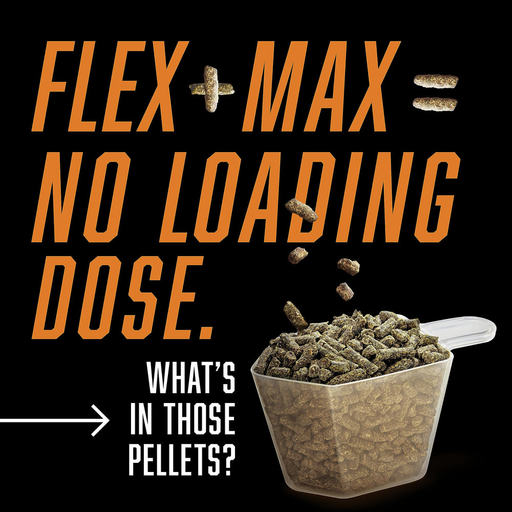 Absorbine Flex+Max apoyo muscular y tendones para movilidad cotidiana.
