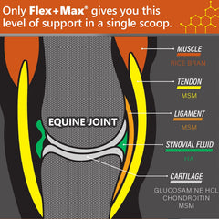 Absorbine Flex+Max: etiqueta de ingredientes que muestra glucosamina y MSM.