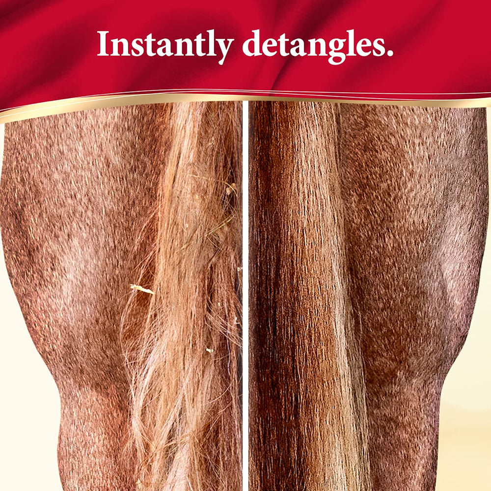 Pelo con brillo radiante tras Absorbine ShowSheen.