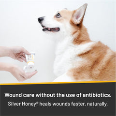 Absorbine Silver Honey Ungüento: doble pack para tratamiento en múltiples áreas.
