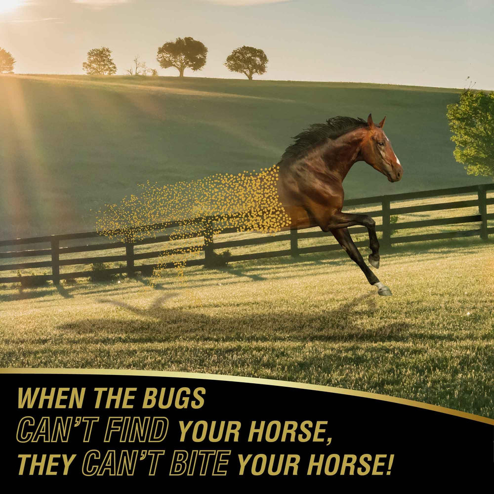 Absorbine UltraShield Gold: caballo en establo recibiendo protección contra insectos.
