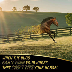 Absorbine UltraShield Gold: caballo en establo recibiendo protección contra insectos.