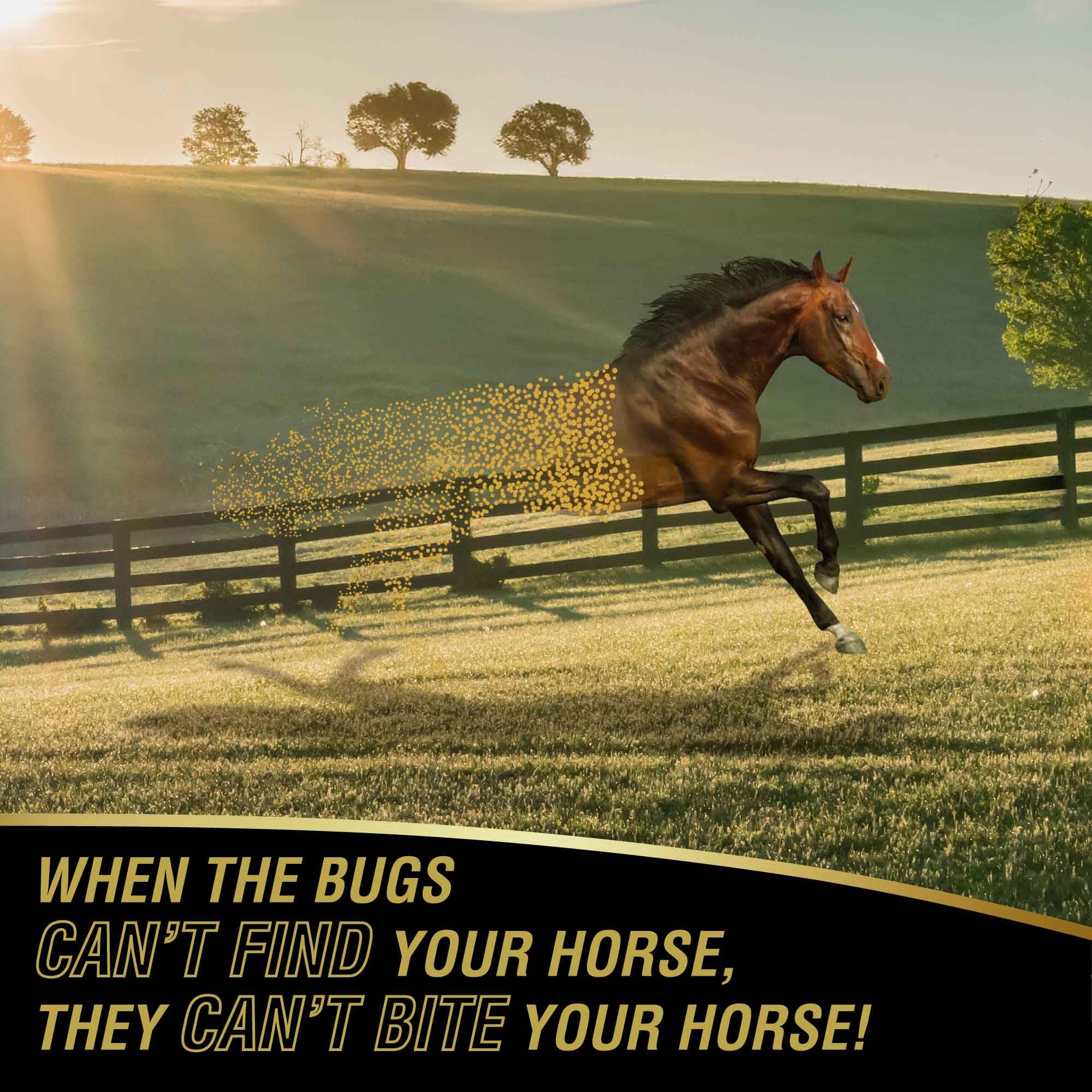 Absorbine UltraShield Gold ofrece protección para caballos durante el trabajo