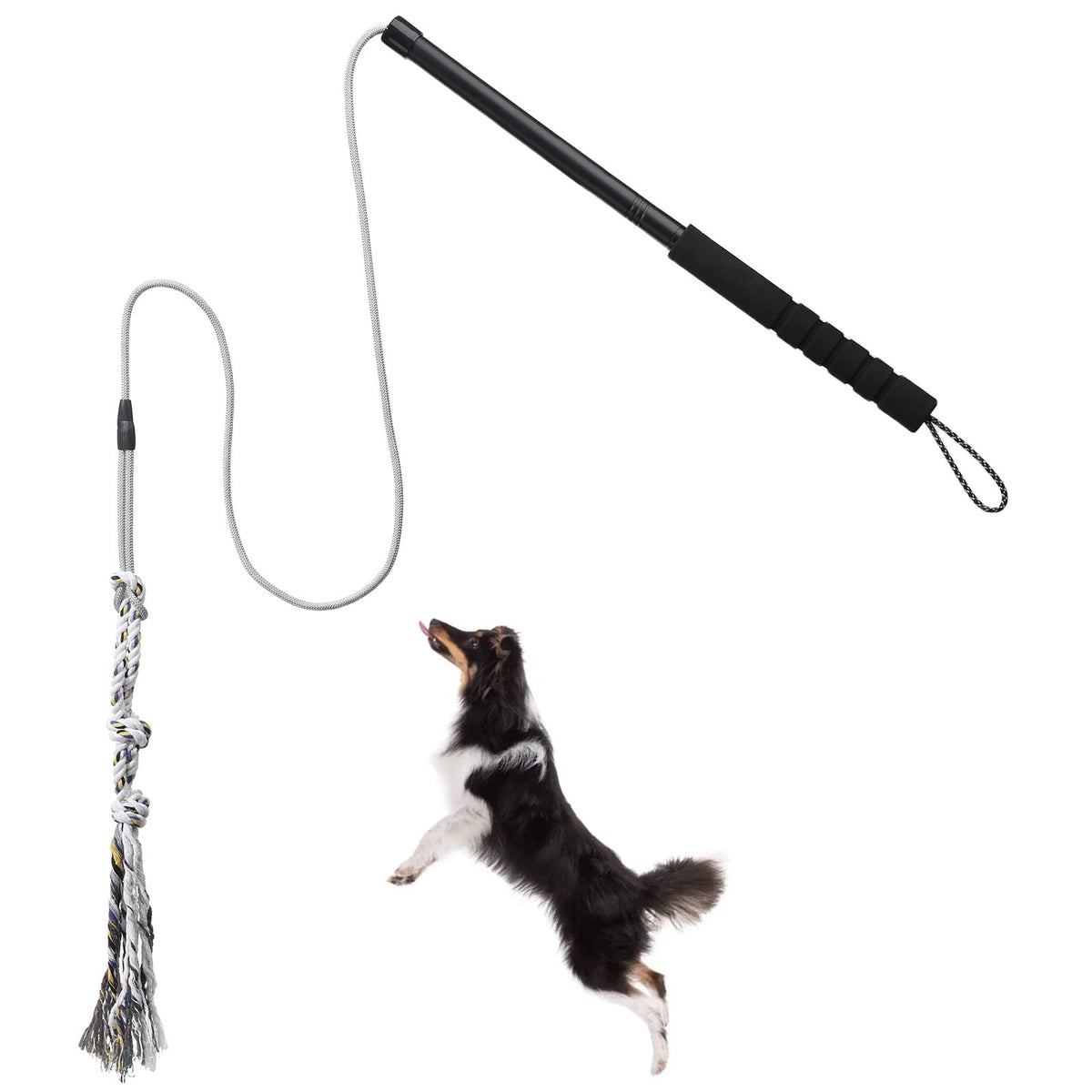 ABtool Vara de persecución para perros, uso exterior, ideal para entrenamiento y quema de energía.