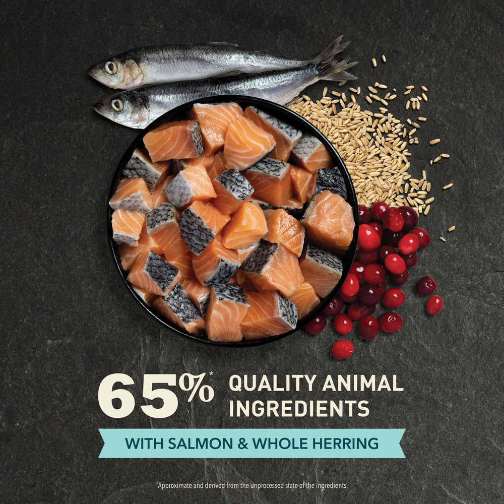 ACANA Bountiful Catch: 65% ingredientes animales para una dieta balanceada.