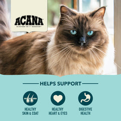ACANA Bountiful Catch con arenque entero, sabor nutritivo para gatos adultos.