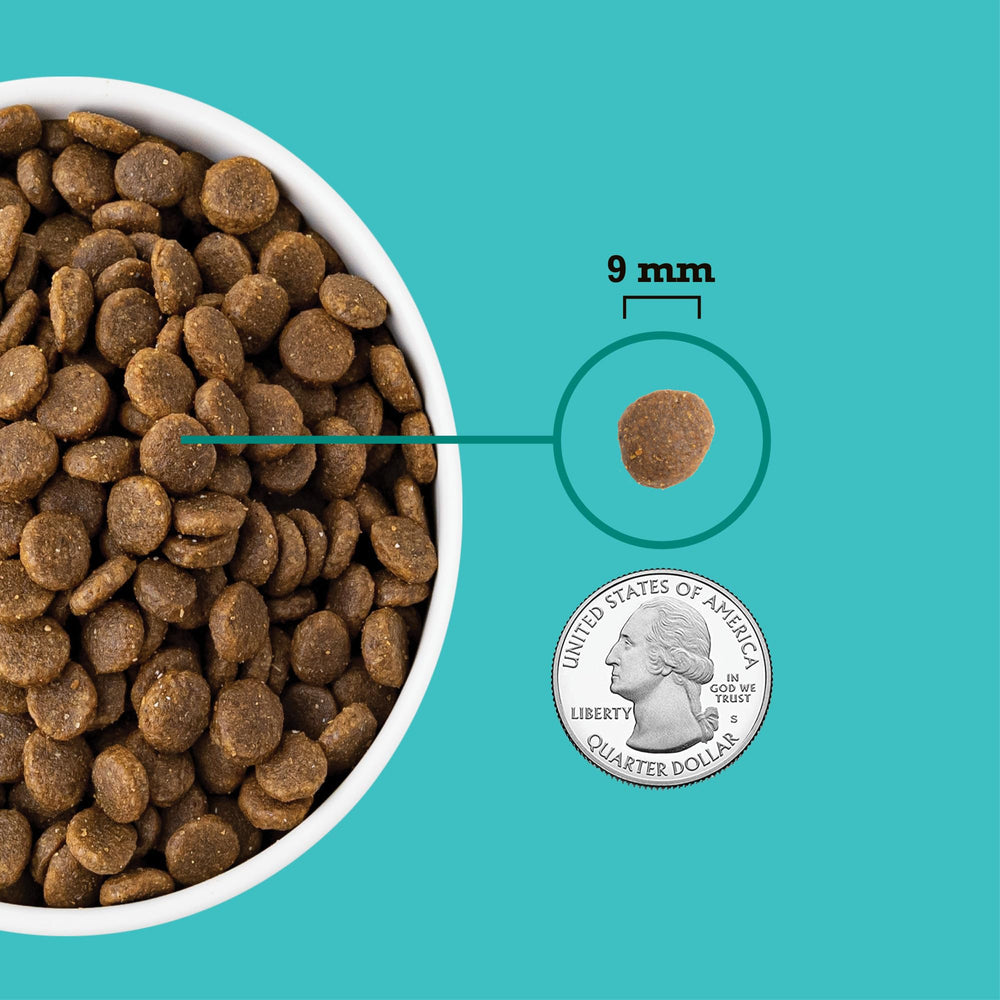 ACANA DHA y EPA del salmón, beneficio para desarrollo cerebral.
