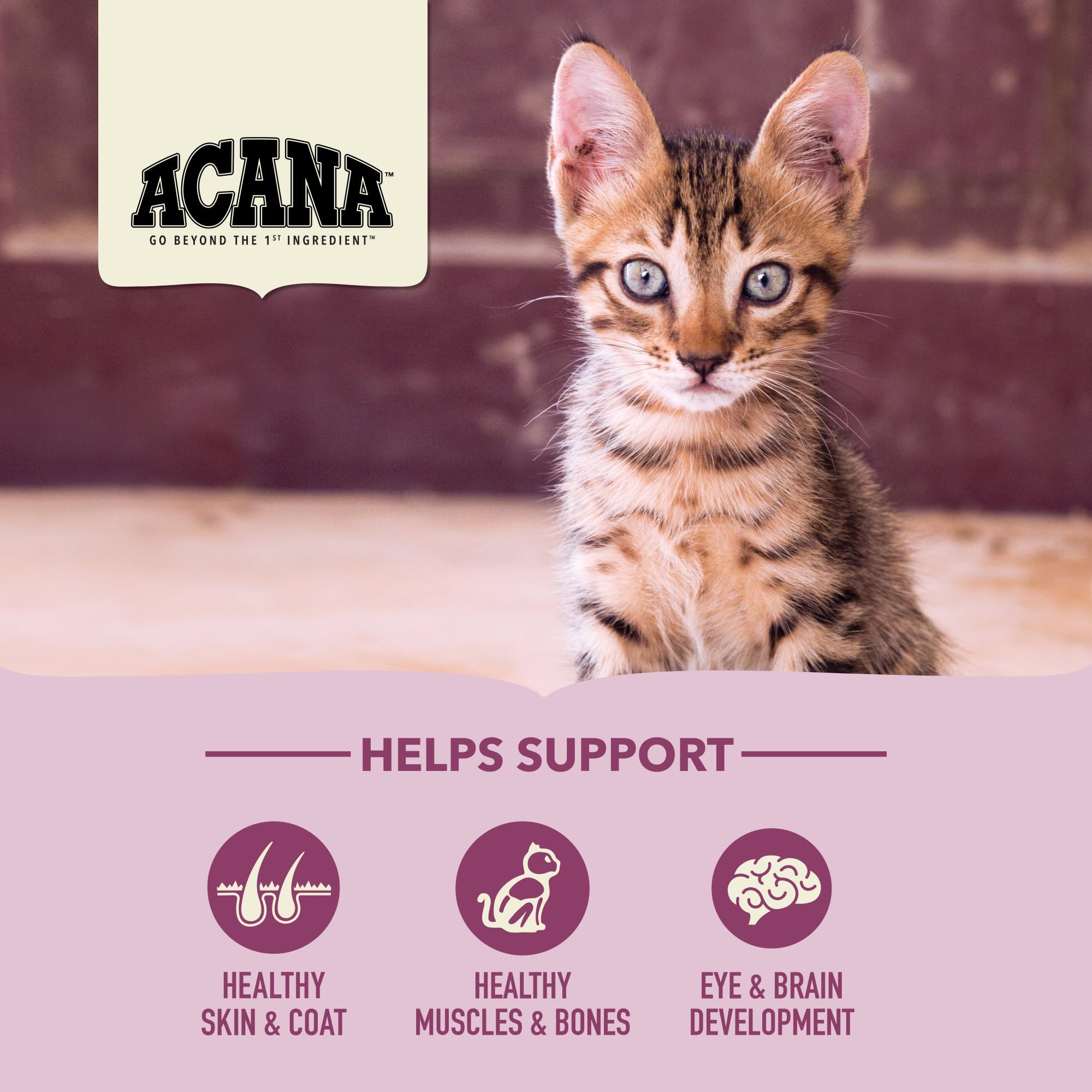 ACANA First Feast gatitos con pollo fresco, fuente proteica para gatitos en crecimiento.