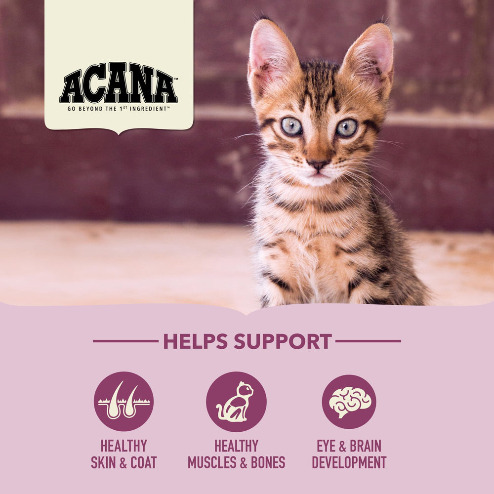 ACANA First Feast gatitos con pollo fresco, fuente proteica para gatitos en crecimiento.