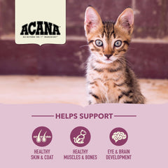 ACANA First Feast gatitos con pollo fresco, fuente proteica para gatitos en crecimiento.