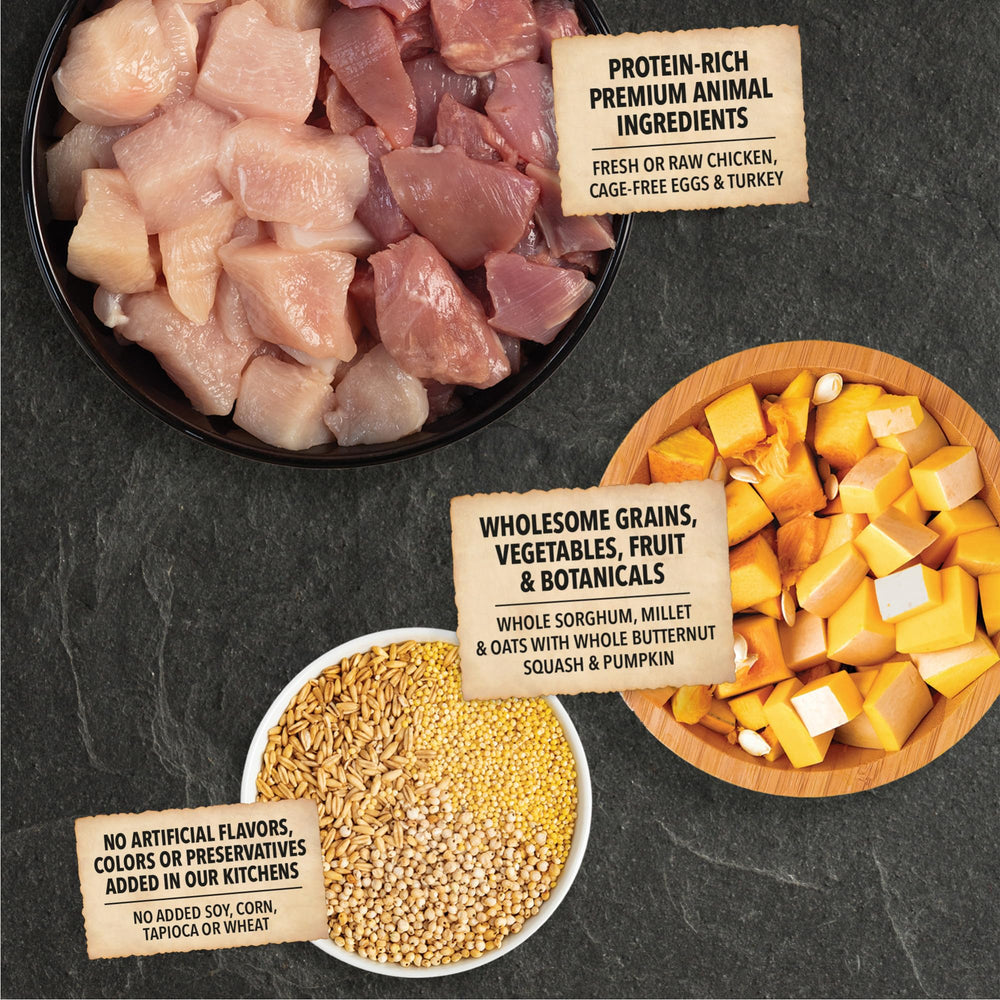 ACANA: aceite de pescado con EPA y DHA para desarrollo cerebral.