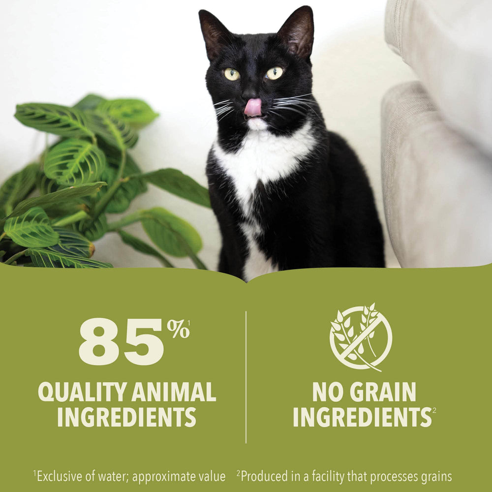 ACANA Premium Pate Gatito, ingredientes principales visibles, alto contenido de carne