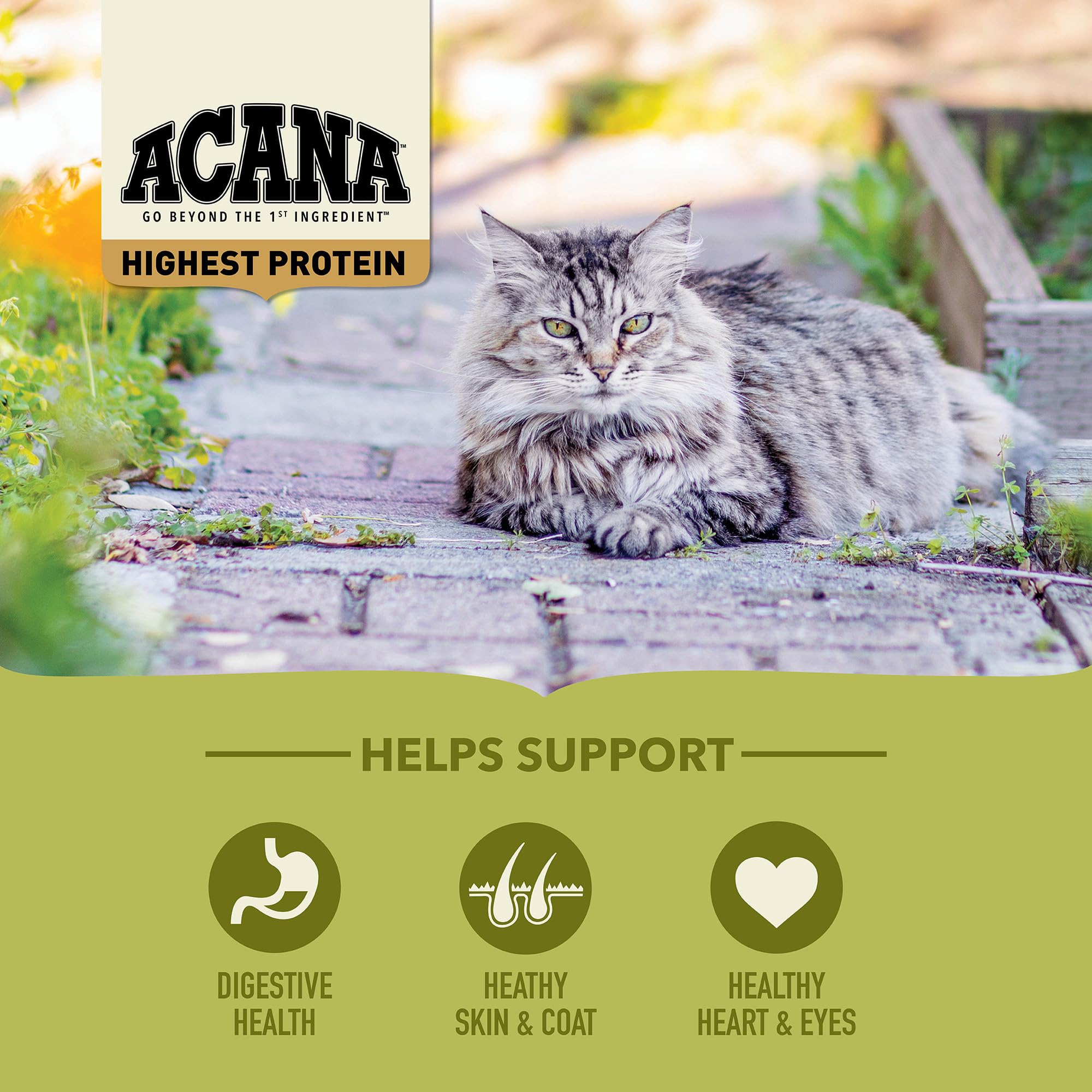 ACANA sin cereales, fórmula para digestión suave en gatos.
