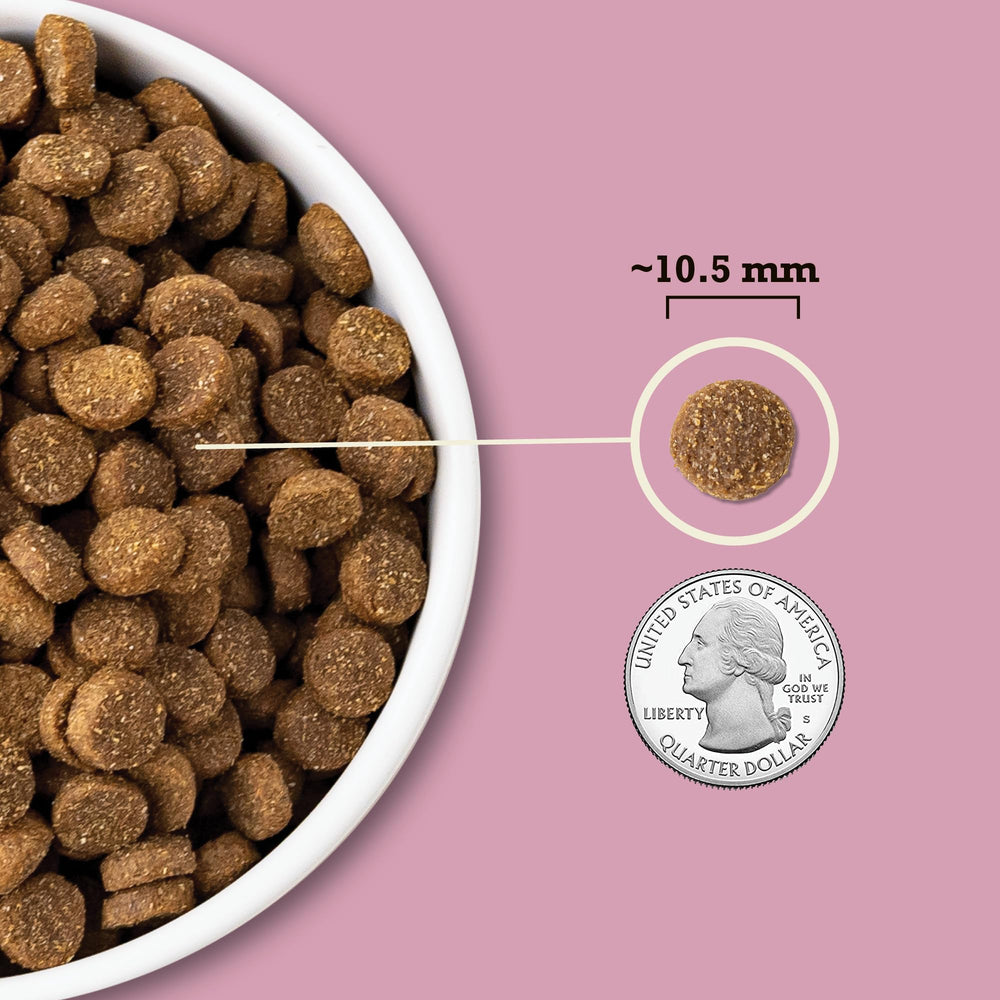 ACANA utiliza avena, sorgo y mijo como granos sin gluten para equilibrio nutricional.