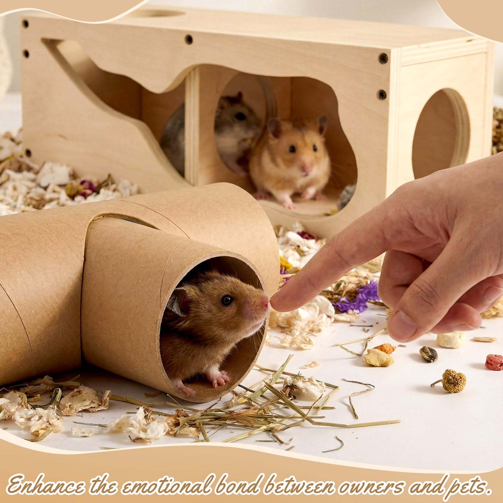 AceOrbit plataforma recompensa hamster, zona de premio para entrenamiento y juego