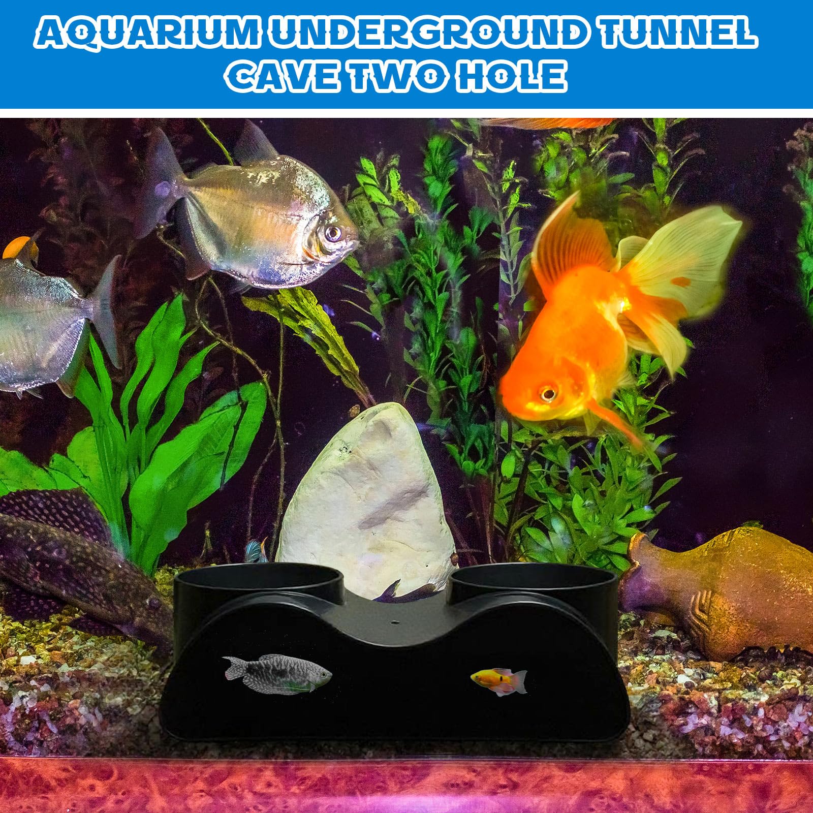 aceorbit tunel de 7 pulgadas con hueco de 2,25 pulgadas para peces.